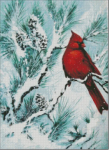 (image for) Winter's Glory Red Bird